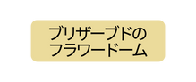 ブリザーブドの フラワードーム