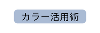 カラー活用術