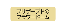 ブリザーブドの フラワードーム